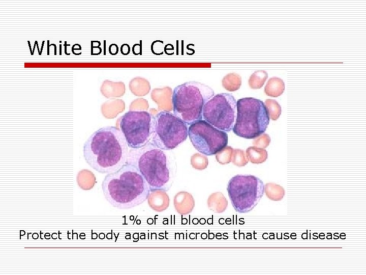 White Blood Cells 1% of all blood cells Protect the body against microbes that