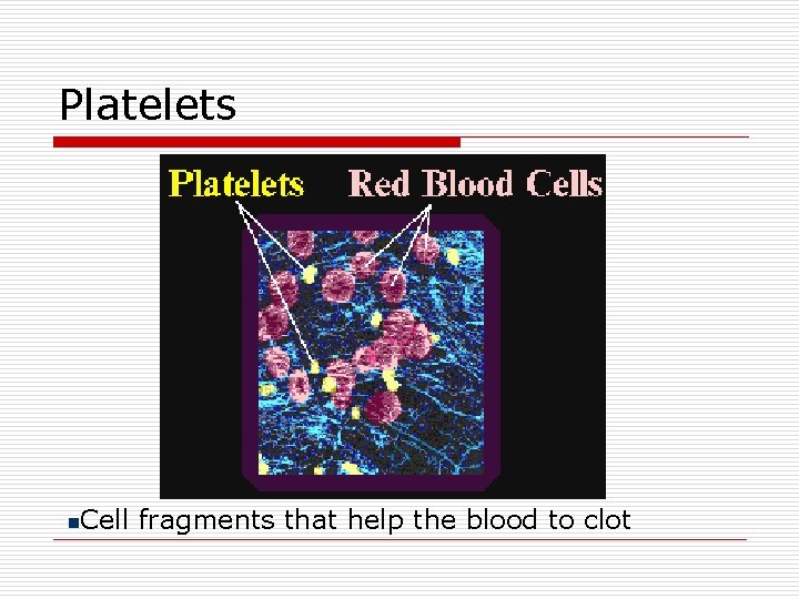 Platelets n Cell fragments that help the blood to clot 