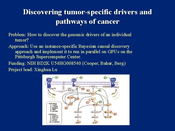 Discovering tumor-specific drivers and pathways of cancer Problem: How to discover the genomic drivers