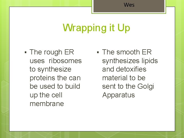 Wes Wrapping it Up § The rough ER uses ribosomes to synthesize proteins the