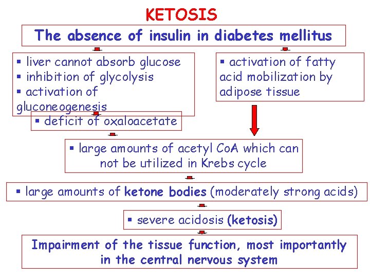 KETOSIS The absence of insulin in diabetes mellitus § liver cannot absorb glucose §