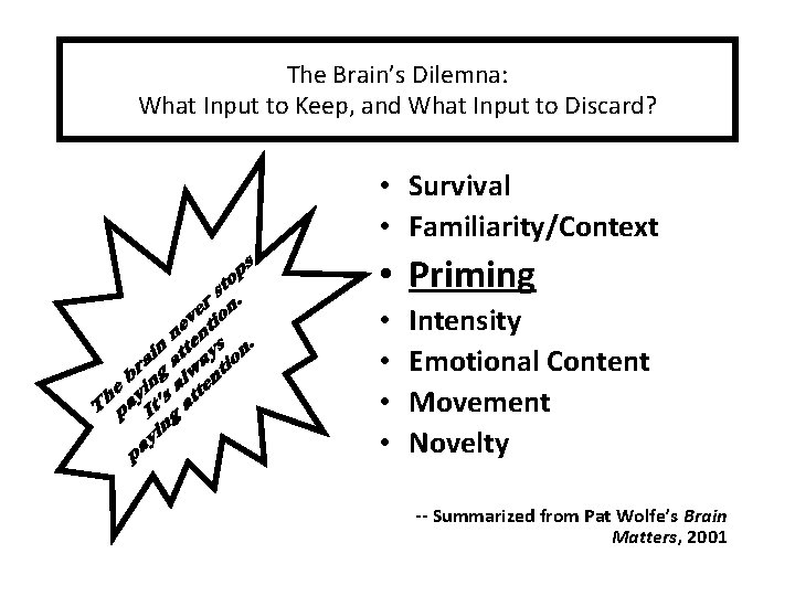 The Brain’s Dilemna: What Input to Keep, and What Input to Discard? • Survival