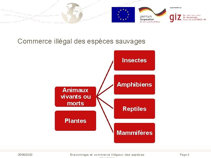 Commerce illégal des espèces sauvages Insectes Animaux vivants ou morts Amphibiens Reptiles Plantes Mammifères