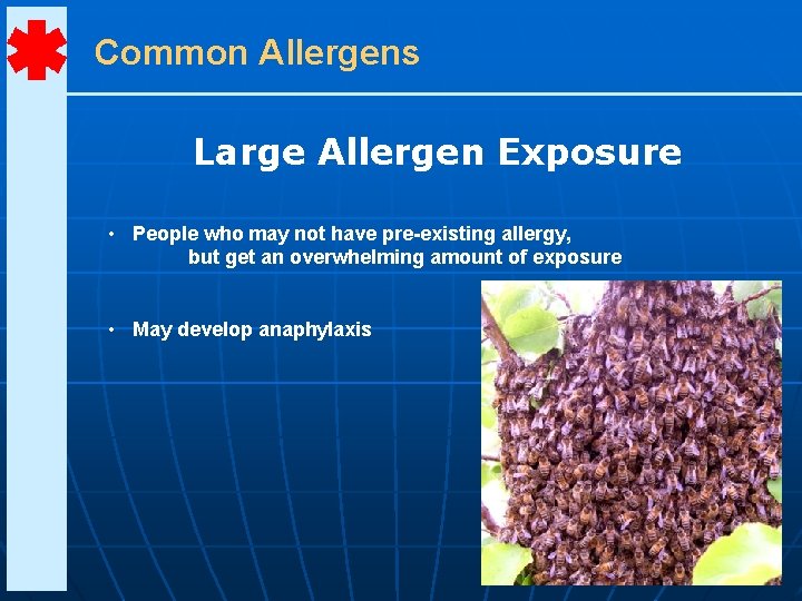 Common Allergens Large Allergen Exposure • People who may not have pre-existing allergy, but