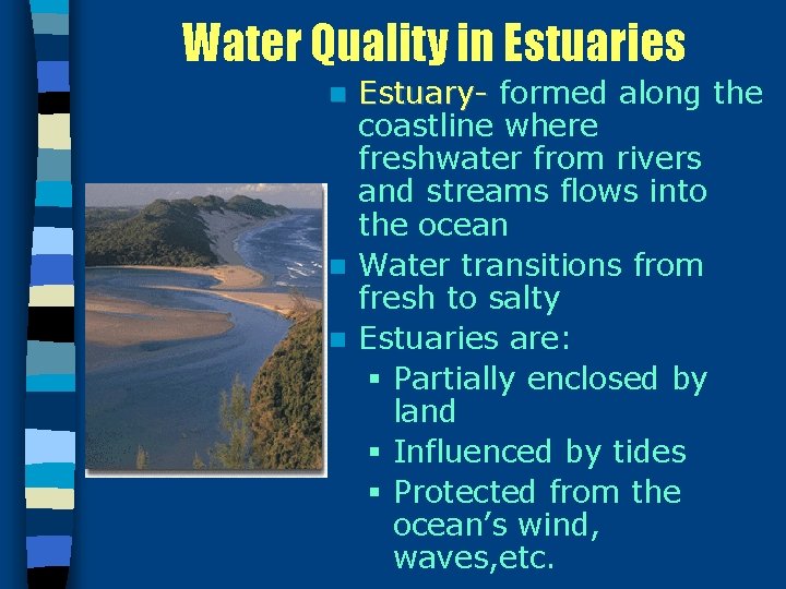 Water Quality in Estuaries Estuary- formed along the coastline where freshwater from rivers and