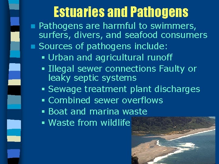 Estuaries and Pathogens are harmful to swimmers, surfers, divers, and seafood consumers n Sources