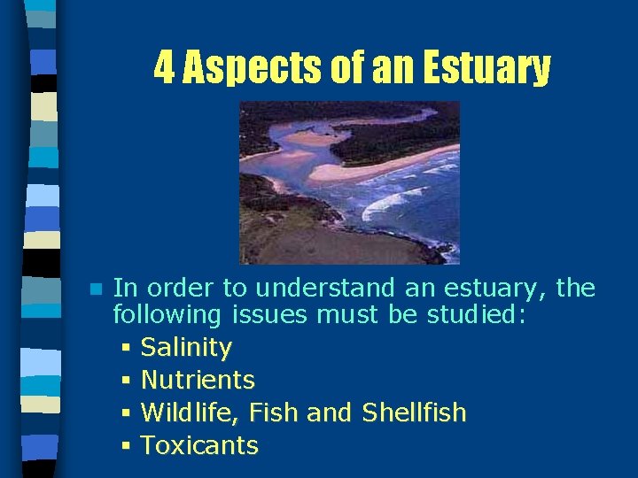 4 Aspects of an Estuary n In order to understand an estuary, the following