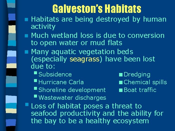 Galveston’s Habitats are being destroyed by human activity n Much wetland loss is due