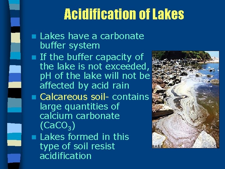 Acidification of Lakes n n Lakes have a carbonate buffer system If the buffer