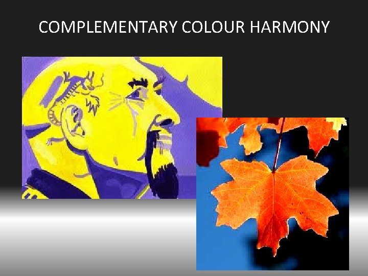 COMPLEMENTARY COLOUR HARMONY 