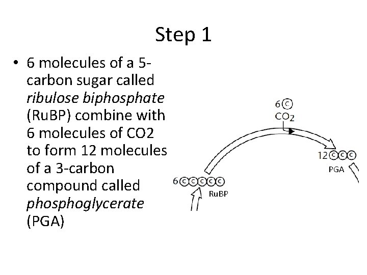 More than you ever wanted to know about