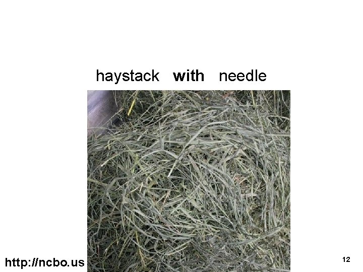 haystack with needle http: //ncbo. us 12 