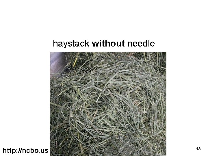 haystack without needle http: //ncbo. us 13 