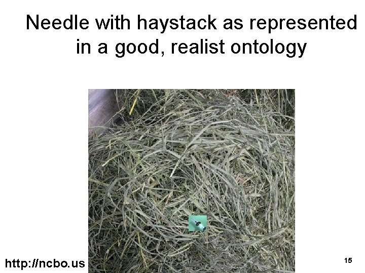 Needle with haystack as represented in a good, realist ontology http: //ncbo. us 15