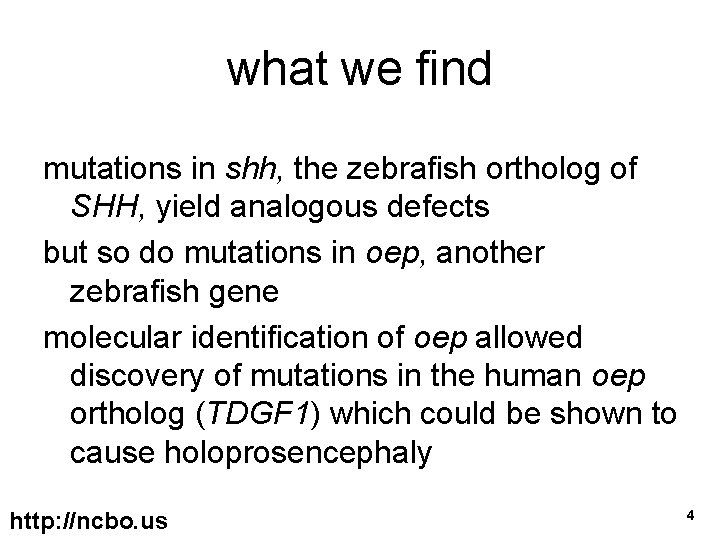 what we find mutations in shh, the zebrafish ortholog of SHH, yield analogous defects