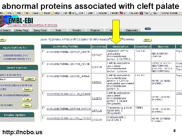 abnormal proteins associated with cleft palate http: //ncbo. us 8 
