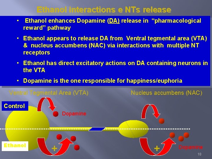 Ethanol interactions e NTs release • Ethanol enhances Dopamine (DA) release in “pharmacological reward”