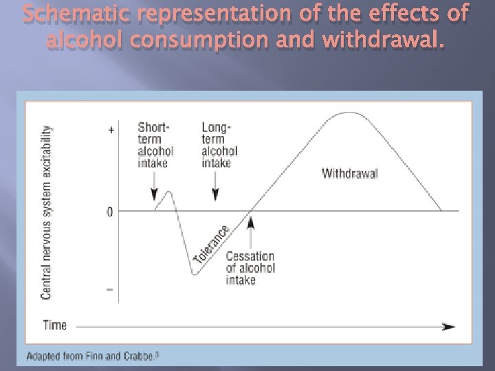 Schematic representation of the effects of alcohol consumption and withdrawal. 38 