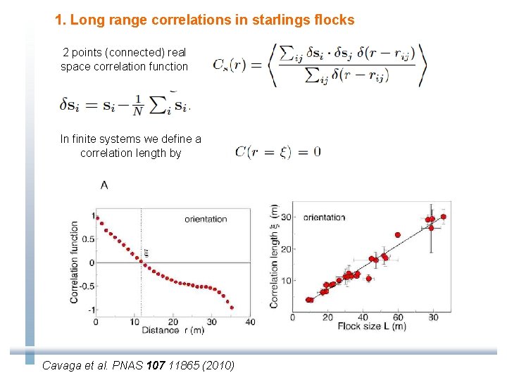 1. Long range correlations in starlings flocks 2 points (connected) real space correlation function