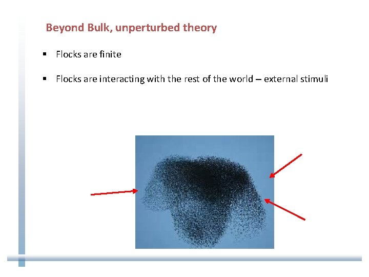 Beyond Bulk, unperturbed theory § Flocks are finite § Flocks are interacting with the