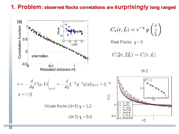 1. Problem: observed flocks correlations are surprisingly long ranged Real Flocks c ~ 0