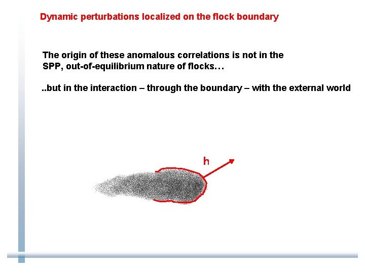 Dynamic perturbations localized on the flock boundary The origin of these anomalous correlations is
