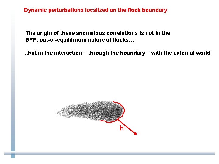 Dynamic perturbations localized on the flock boundary The origin of these anomalous correlations is