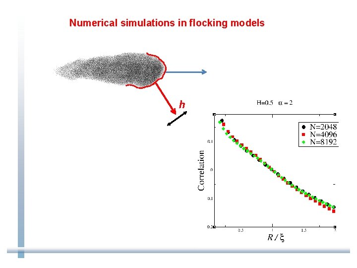 Numerical simulations in flocking models h 