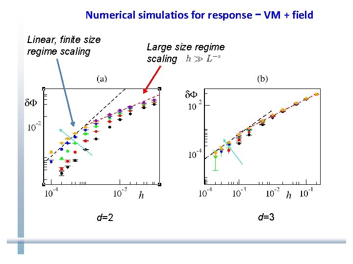 Numerical simulatios for response – VM + field Linear, finite size regime scaling d=2