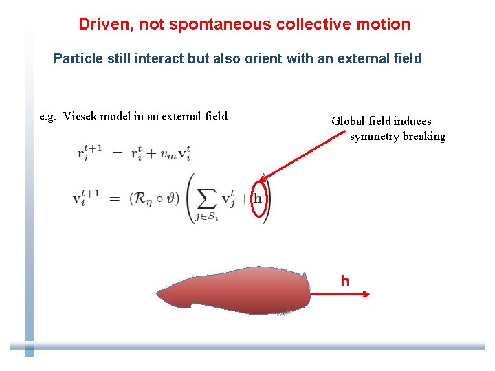 Driven, not spontaneous collective motion Particle still interact but also orient with an external