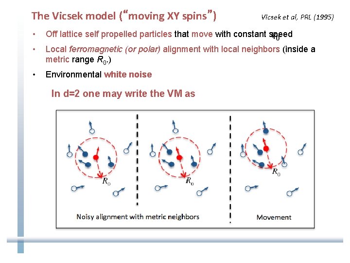 The Vicsek model (“moving XY spins”) Vicsek et al, PRL (1995) • Off lattice