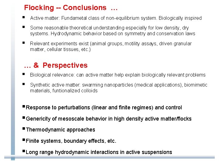 Flocking -- Conclusions … § Active matter: Fundametal class of non-equilibrium system. Biologically inspired