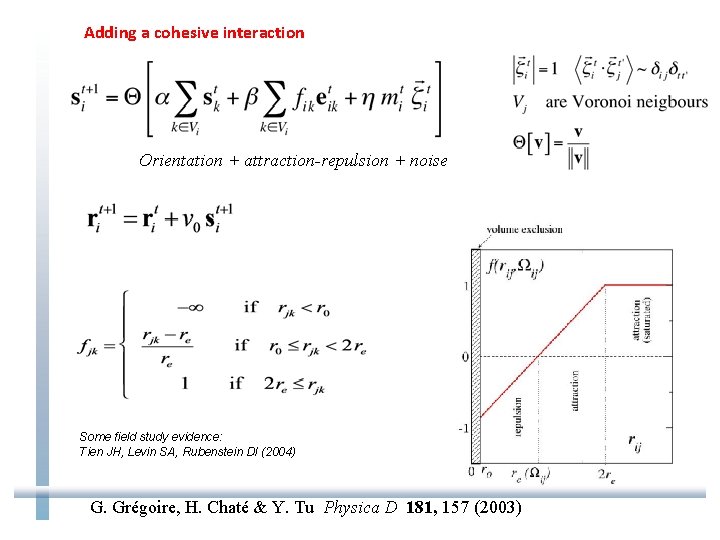 Adding a cohesive interaction Orientation + attraction-repulsion + noise Some field study evidence: Tien