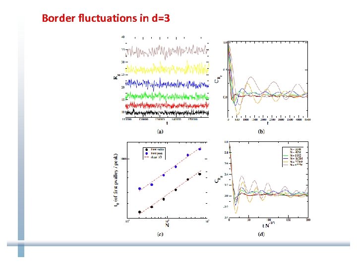 Border fluctuations in d=3 