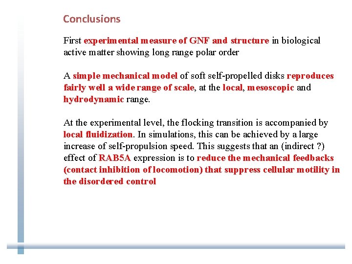 Conclusions First experimental measure of GNF and structure in biological active matter showing long