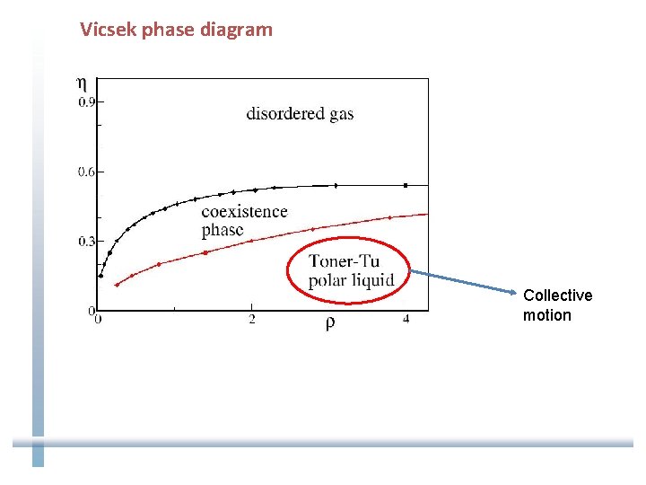 Vicsek phase diagram Collective motion 