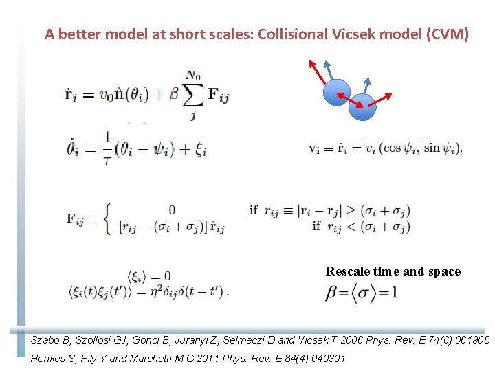 A better model at short scales: Collisional Vicsek model (CVM) Rescale time and space