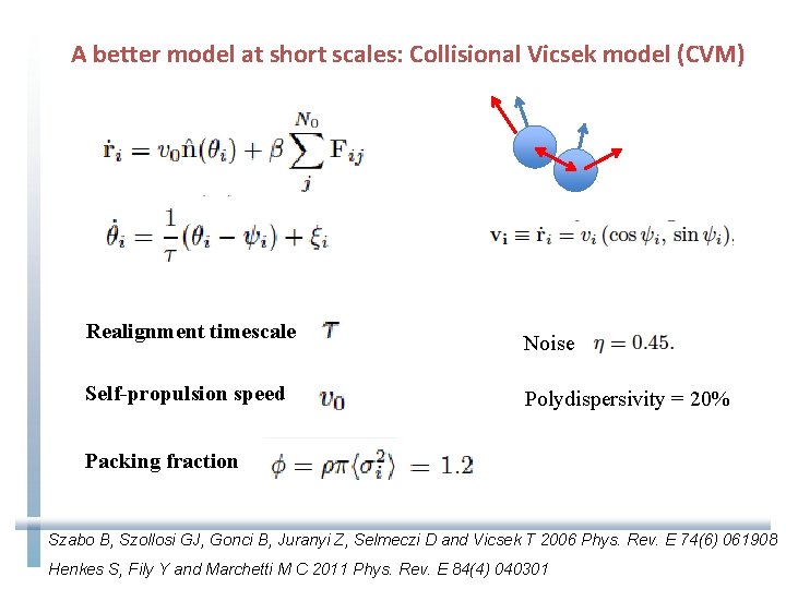 A better model at short scales: Collisional Vicsek model (CVM) Realignment timescale Self-propulsion speed