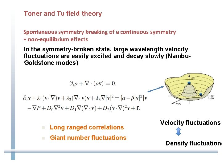 Toner and Tu field theory Spontaneous symmetry breaking of a continuous symmetry + non-equilibrium