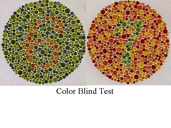 Color Blind Test 