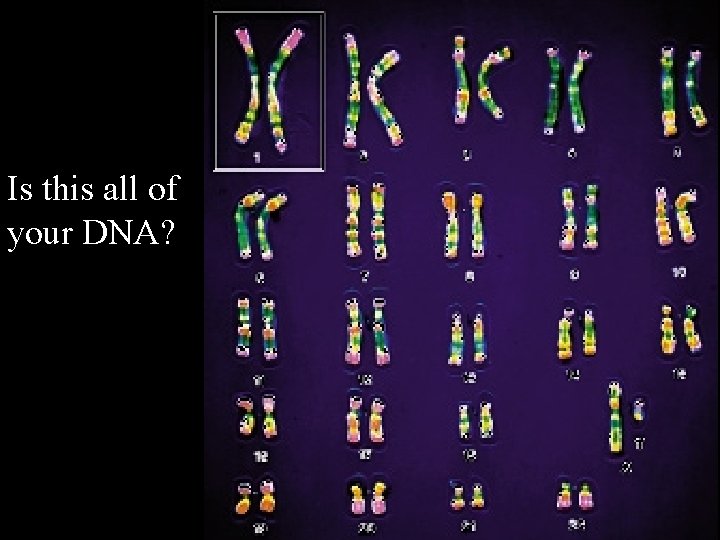 Is this all of your DNA? 