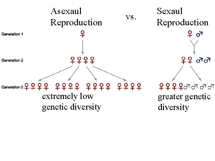 Asexaul Reproduction extremely low genetic diversity vs. Sexaul Reproduction greater genetic diversity 