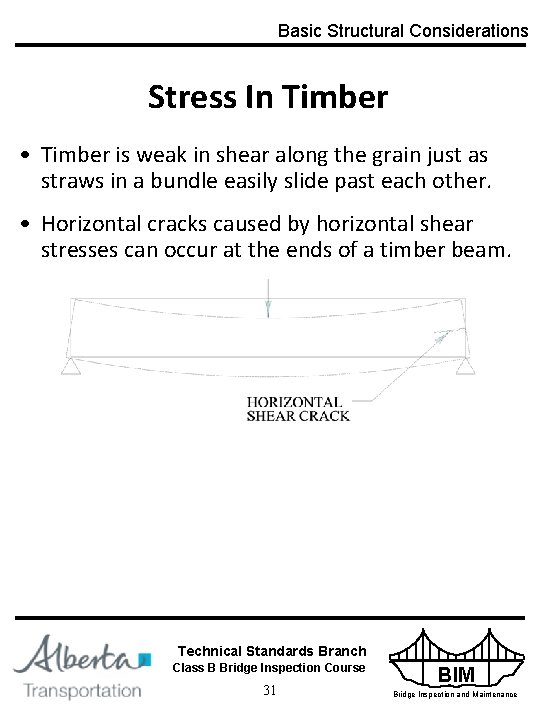 Basic Structural Considerations Stress In Timber • Timber is weak in shear along the
