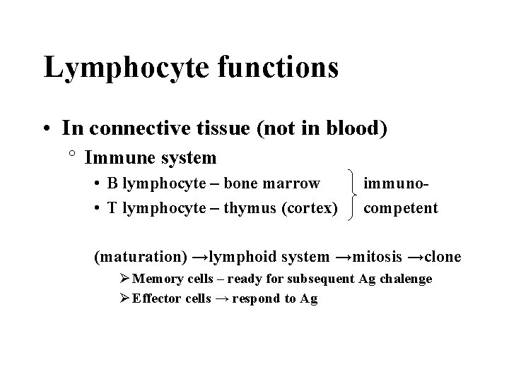 Lymphocyte functions • In connective tissue (not in blood) ° Immune system • B