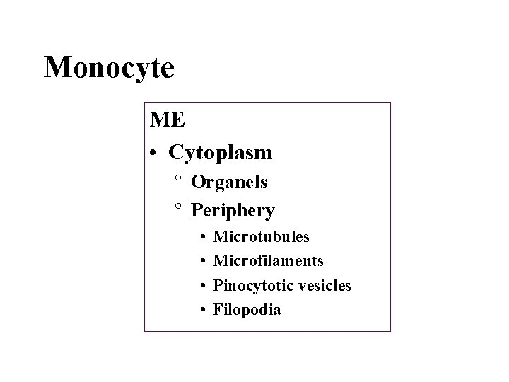 Monocyte ME • Cytoplasm ° Organels ° Periphery • • Microtubules Microfilaments Pinocytotic vesicles