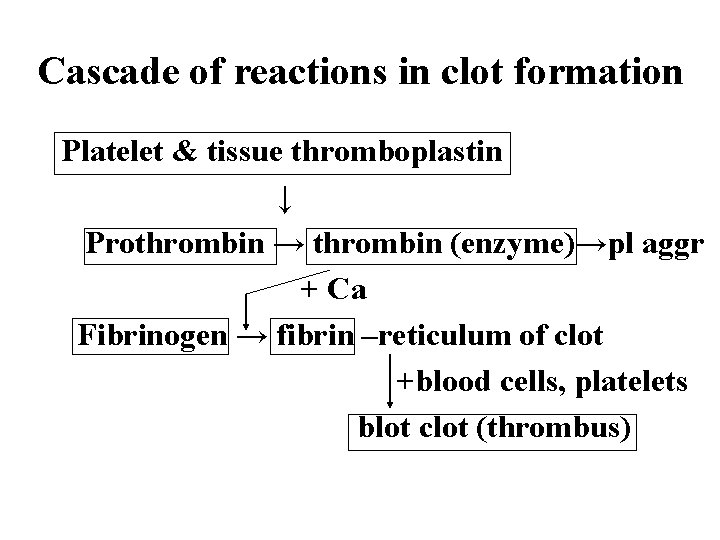 Cascade of reactions in clot formation Platelet & tissue thromboplastin ↓ Prothrombin → thrombin