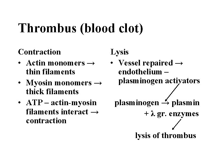 Thrombus (blood clot) Contraction • Actin monomers → thin filaments • Myosin monomers →
