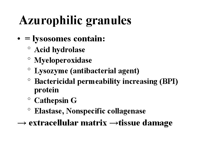 Azurophilic granules • = lysosomes contain: ° ° Acid hydrolase Myeloperoxidase Lysozyme (antibacterial agent)