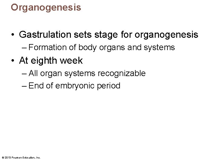 Organogenesis • Gastrulation sets stage for organogenesis – Formation of body organs and systems