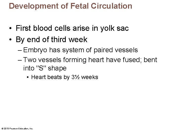 Development of Fetal Circulation • First blood cells arise in yolk sac • By